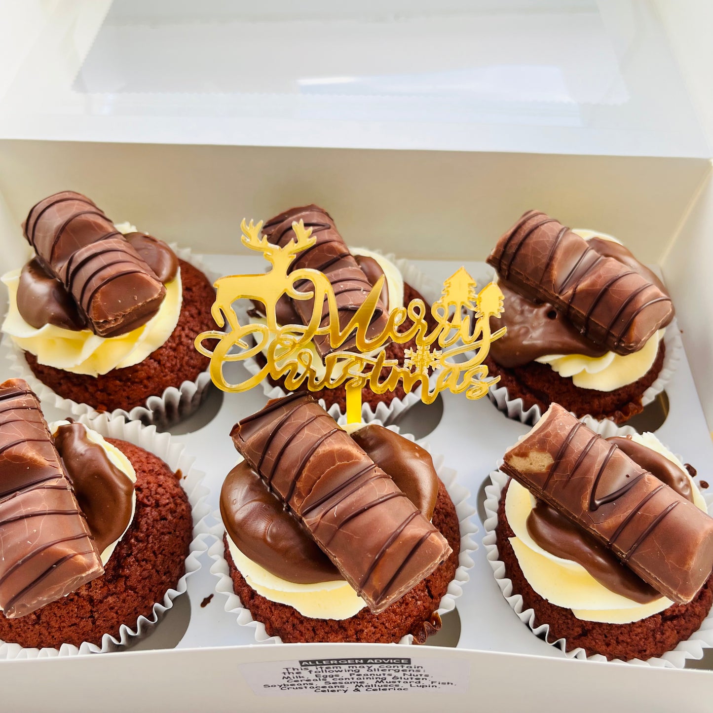 Acrylic Merry Christmas cupcake topper